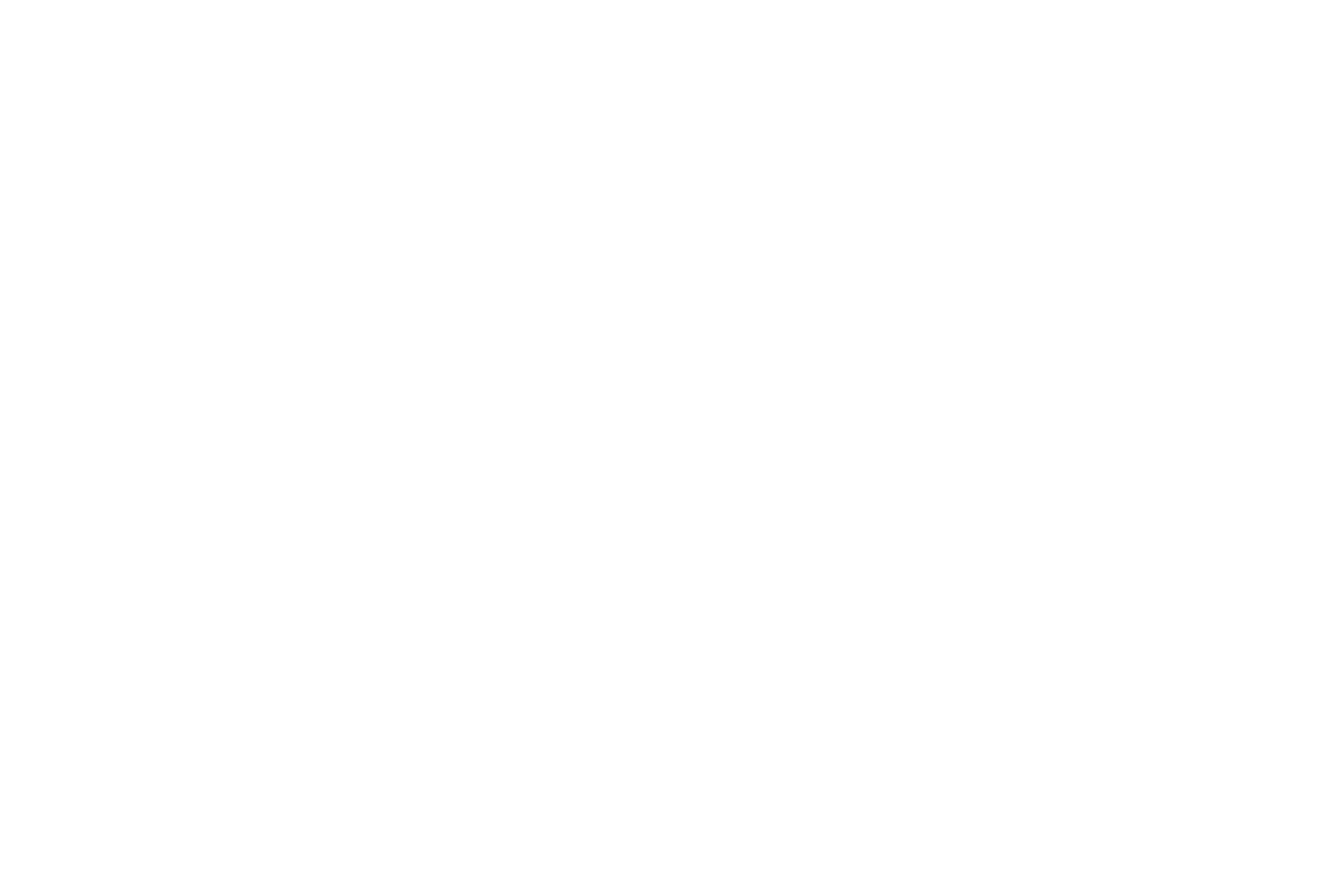 Logo Mobile