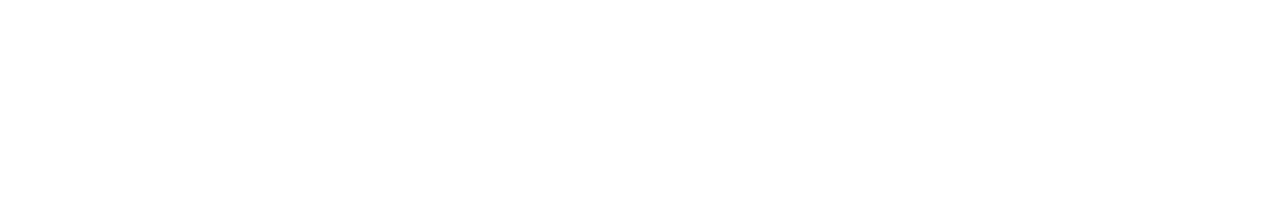 Logo texto NONEWHITE